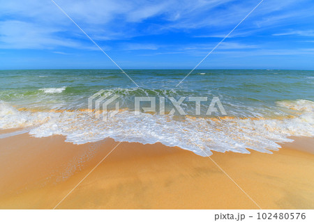 The landscape of a Brazilian northeast beach, Trancoso - Bahia 102480576