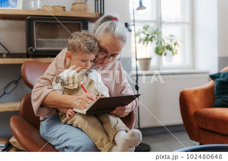 Grandmother looking fairytale with her grandson on digital tablet. 102480648