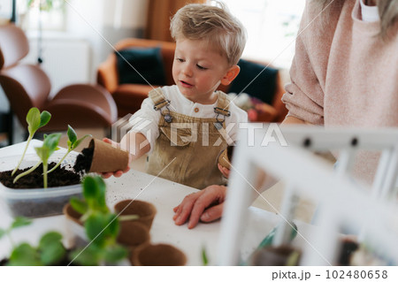 Grandmother with her grandson planting vegetables and flowers. 102480658