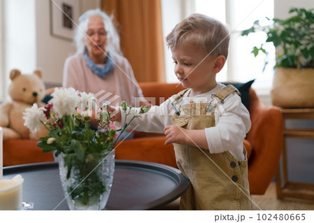 Little boy looking at flowers in vase. 102480665