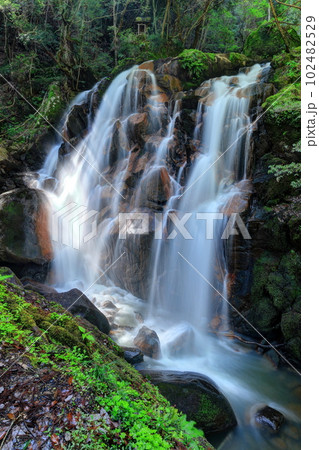 鶏鳴の滝 鶏鳴の滝 102482529