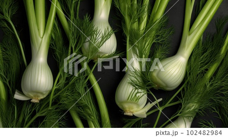 Aromatic Fennel Herbs Photorealistic Horizontal Background. Healthy Vegetarian Diet. Ai Generated Hyperrealistic Background with Delicious Aromatic Fennel Herbs. Aromatic Fennel Herbs Photorealistic Horizontal Background. Healthy Vegetarian Diet. Ai Generated Hyperrealistic Background with Delicious Aromatic Fennel Herbs. 102482984
