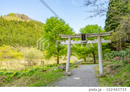 御嶽神社　鳥居 102483735