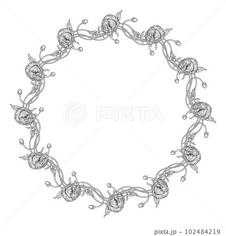 Graphic flower composition. Flowers of poppies. Wreath Graphic flower composition. Flowers of poppies. Wreath 102484219
