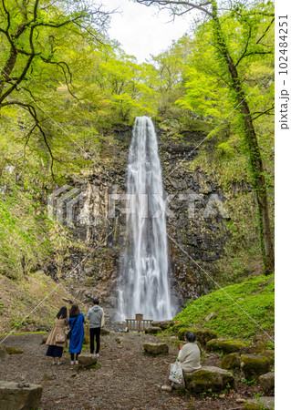 玉簾の滝　新緑 102484251