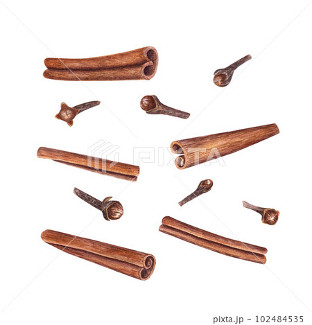 Watercolor set of cinnamons and cloves isolated on white background. Botanical illustration for Christmas and New Year cards, book design, greetings, stickers, patterns, templates, spice shops 102484535