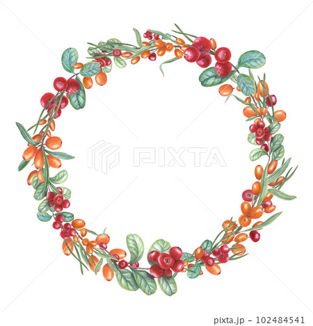 Watercolor wreath of seabuckthorn, cowberry, pine needles isolated on white background. Botanical illustration for postcard design, invitation template, birthday, wedding, Christmas and New Year cards Watercolor wreath of seabuckthorn, cowberry, pine needles isolated on white background. Botanical illustration for postcard design, invitation template, birthday, wedding, Christmas and New Year cards 102484541