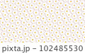 シームレスパターン　母の日や父の日などの背景に使える花柄 102485530