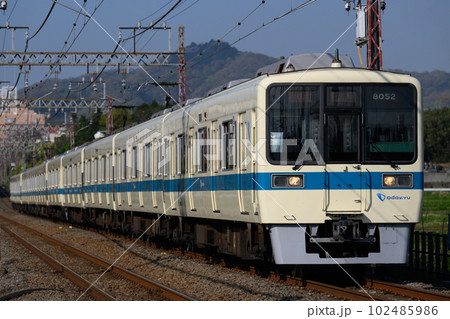 鉄道 小田急8000系 鉄道 小田急8000系 102485986