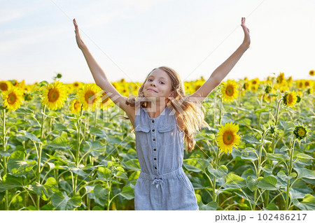 girl in sunflowers girl in sunflowers 102486217