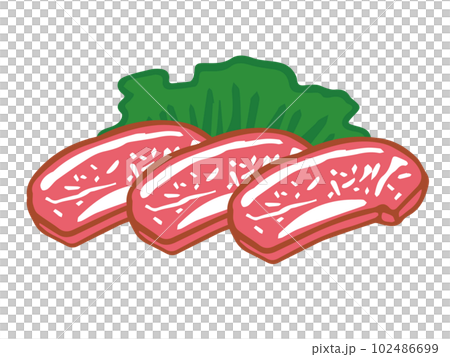 Hand drawn style illustration of raw meat Hand drawn style illustration of raw meat 102486699
