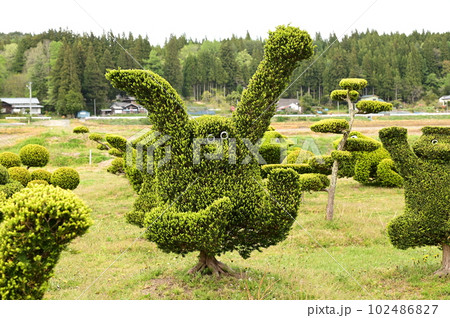 目を引く植木 目を引く植木 102486827