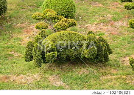 目を引く植木 102486828