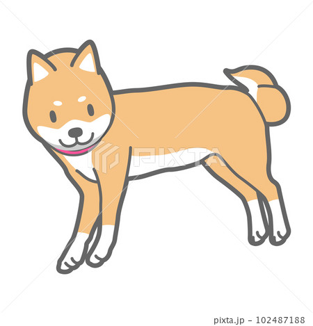 横たわる柴犬のベクターイラストのイラスト素材 [102487188] - PIXTA