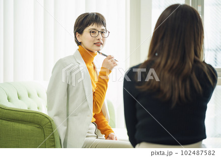 打ち合わせをするキャリアウーマン 102487582