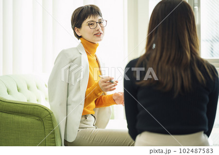 打ち合わせをするキャリアウーマン 102487583
