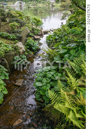 広島 初夏の緑に染まった縮景園の美しい小川 広島 初夏の緑に染まった縮景園の美しい小川 102487678
