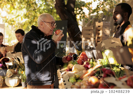 Elderly client smelling bio apples and standing near farmers food market stand with variety of fresh pesticide free fruits and vegetables. Old man buying locally grown organic produce. 102488239