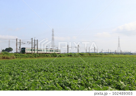 烏山線EV-E301/アキュム(電車区間:宇都宮⇔烏山) 烏山線EV-E301/アキュム(電車区間:宇都宮⇔烏山) 102489303