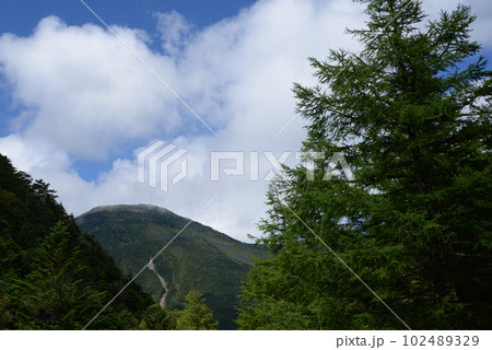 北八ヶ岳の景色 天妾寺原から見る蓼科山 北八ヶ岳の景色 天妾寺原から見る蓼科山 102489329