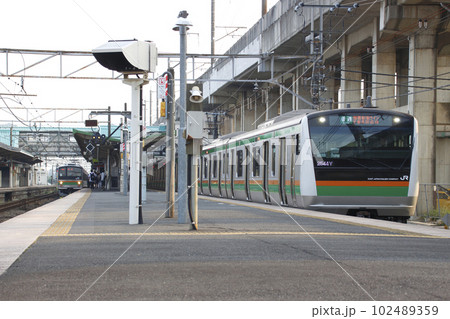 ［JS］湘南新宿ラインE233系（宇都宮線直通） 102489359