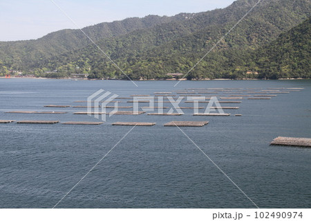 春の一日　安芸宮島を望む 102490974