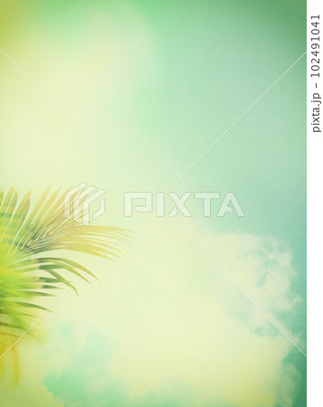 ノスタルジックな夏の空 102491041