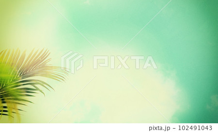 ノスタルジックな夏の空 ノスタルジックな夏の空 102491043