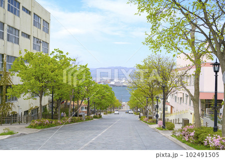 ゴールデンウィークの函館 八幡坂 ゴールデンウィークの函館 八幡坂 102491505