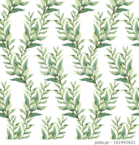 Watercolor greenery seamless pattern, floral texture on white 102491622