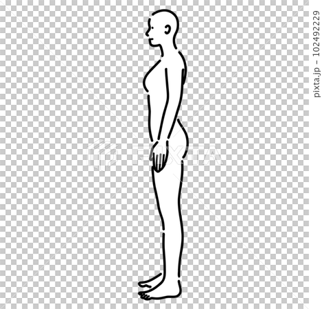 Illustration of a female nude human body seen from the side 102492229