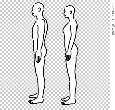 Illustration of male and female nude human... - Stock Illustration