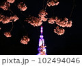 夜桜とドコモタワー 102494046