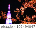 夜桜とドコモタワー 102494047