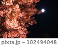 夜桜と月 102494048