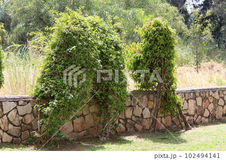fence in a city park in northern Israel fence in a city park in northern Israel 102494141
