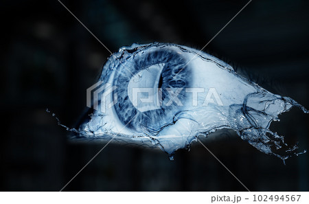 Macro image of human eye 102494567