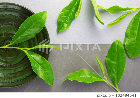 新茶の生茶葉 102494641
