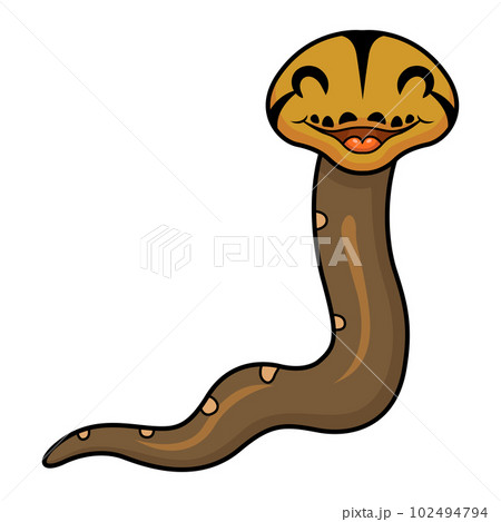 Cute golden child reticulated python cartoon 102494794