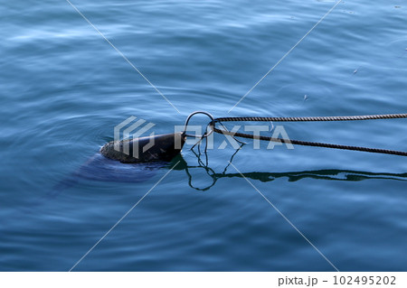 float on the city beach on the mediterranean sea 102495202
