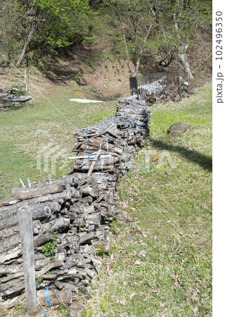 一冬越す為の薪ストック 102496350