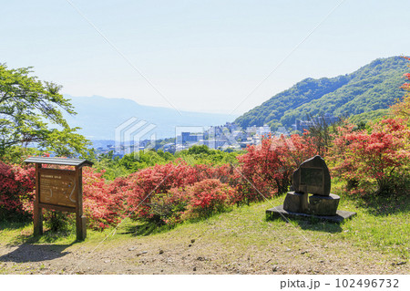伊香保温泉　長峰公園　山つつじ 102496732