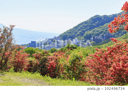 伊香保温泉 長峰公園 山つつじ 伊香保温泉 長峰公園 山つつじ 102496734