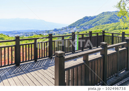 伊香保温泉 長峰公園 山つつじ 伊香保温泉 長峰公園 山つつじ 102496738