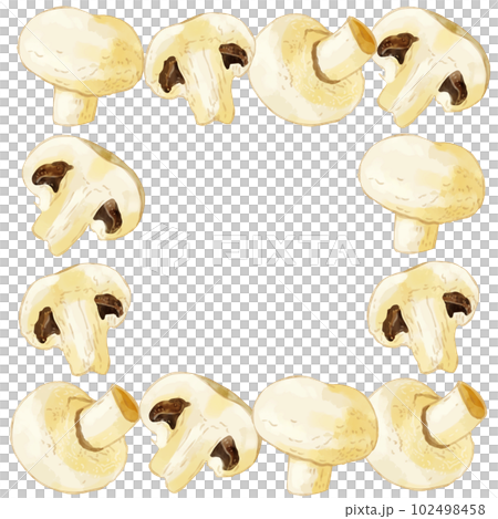 Hand-painted watercolor white mushroom illustration square frame 102498458