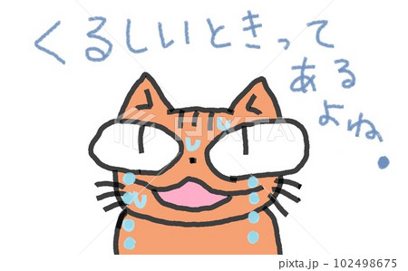 目が大きい猫の苦しさ 目が大きい猫の苦しさ 102498675