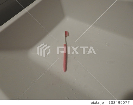 掃除用歯ブラシ　歯ブラシの使用　eco 102499077