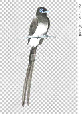 Flying butterfly watercolor painting 102499268