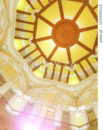 東京駅の天井 102499328