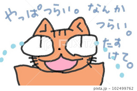 目が大きい猫のつらい 目が大きい猫のつらい 102499762